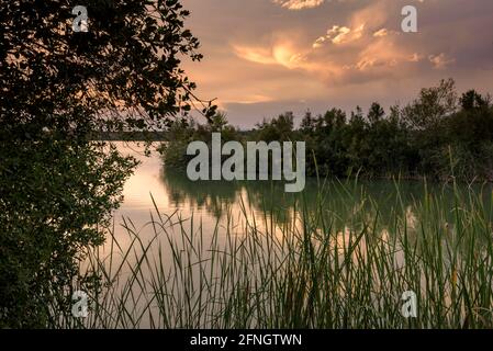 Coucher de soleil sur le lac Estany d'Ivars i Vila-sana (Pla d'Urgell, Lleida, Catalogne, Espagne) ESP: Atardecer en el Estany de Ivars y Vila-sana (Lérida) Banque D'Images