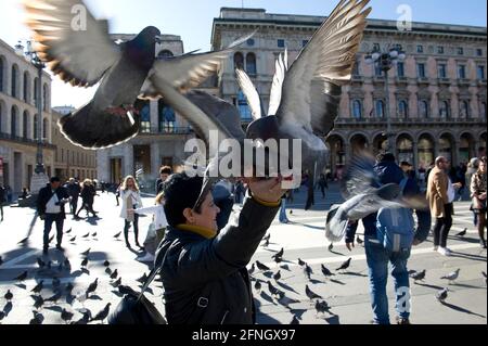 Europe, Italie, Lombardie, Milan, pigeons sur la Piazza Duomo mangez des mains des touristes Banque D'Images