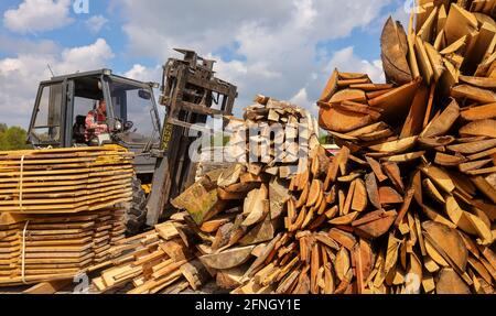 Solingen, Rhénanie-du-Nord-Westphalie, Allemagne - le bois résiduel dans la cour d'une scierie est transformé en copeaux de bois et utilisé comme combustible dans un ensemble Banque D'Images