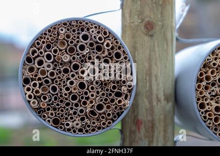 Des hôtels ronds d'insectes, faits de boîtes d'occasion et de diverses parties de bois et de plantes. Structure fabriquée par l'homme pour fournir un abri aux insectes Banque D'Images