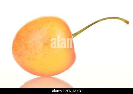 Jaune juteux doux cerise, gros plan, sur fond blanc. Banque D'Images