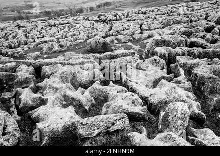 Le beau et ancien pavé calcaire sur le sommet de Malham Cove dans le Yorkshire. Banque D'Images