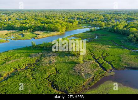 Vue aérienne des rivières dans les forêts paysage Banque D'Images