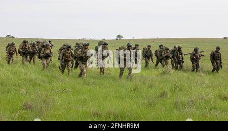 Des soldats d'Allemagne et des pays-Bas, attachés au faucon de la Force opérationnelle, manœuvrent dans la zone de ramassage lors de l'exercice Swift Response 21 à la zone d'entraînement de Babadag, le 16 mai 2021 à Babadag, en Roumanie. Banque D'Images