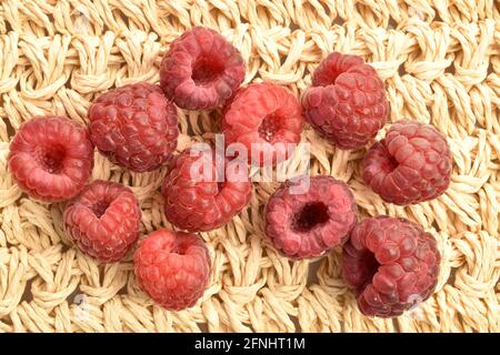 Plusieurs framboises rouges sombres organiques, macro, sur un tapis de paille, vue de dessus. Banque D'Images