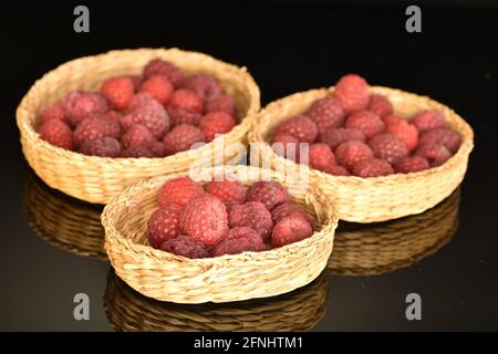 Plusieurs framboises mûres de couleur rouge foncé dans trois plaques de paille, en gros plan, isolées sur du noir. Banque D'Images