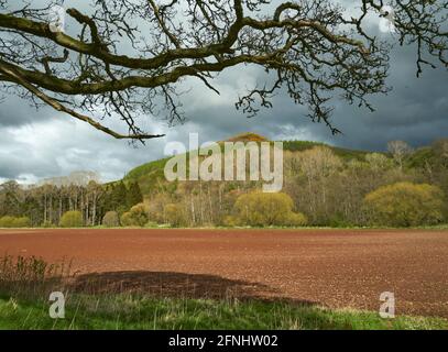 Paysage de printemps atmosphérique de la colline Noire Earlston dans les frontières écossaises avec champ labouré avec sol rouge au premier plan. Banque D'Images