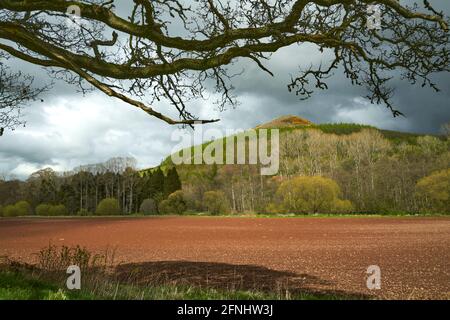 Paysage de printemps atmosphérique de la colline Noire Earlston dans les frontières écossaises avec champ labouré avec sol rouge au premier plan. Banque D'Images