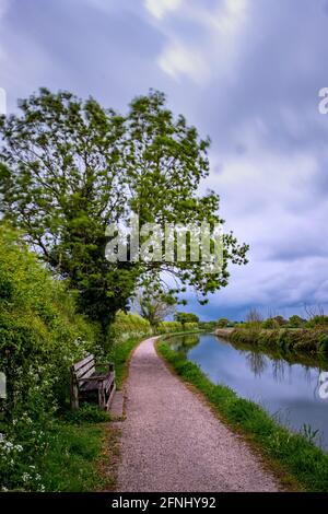 Banc sur le canal Shropshire Union à Middlewich Cheshire Royaume-Uni Banque D'Images