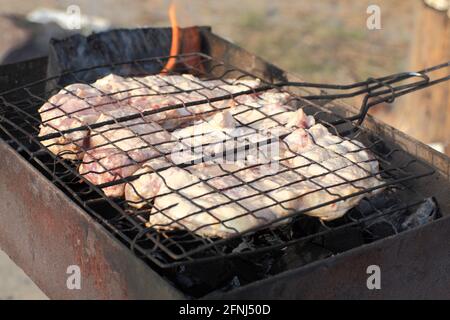 Le porc mariné au barbecue en été Banque D'Images