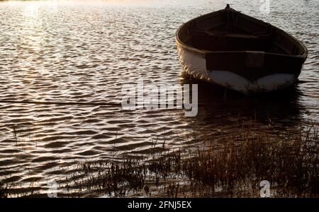 Un seul bateau à ramer au repos et vide pris tôt lumière du soleil du soir avec eau et roseaux ondulés Banque D'Images