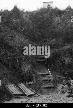 Image mono de deux transats abandonnés au bas de marches en bois usées à travers les dunes de sable jusqu'à une ceinture de sauvetage sur un stand Banque D'Images