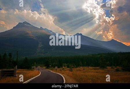 Rayons du soleil sur Alpine Meadows et Mountain Peaks, parc national des Lacs-Waterton, Alberta, Canada Banque D'Images