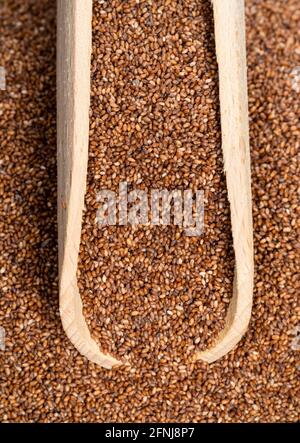 vue de dessus de la pelle en bois sur une pile de teff de wholegrain gros plan des grains Banque D'Images