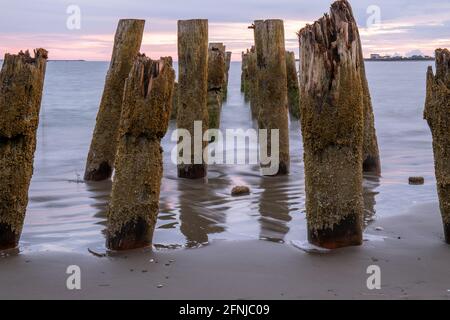 Old Pier piings avec texture sur Ocean Beach au coucher du soleil Banque D'Images