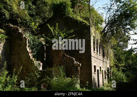 Ruines de l'immeuble de bureaux de Old Iron Works, mells , Fussells' Lower Works.Ceci est un site biologique d'intérêt scientifique spécial, dans le Wadbury va Banque D'Images