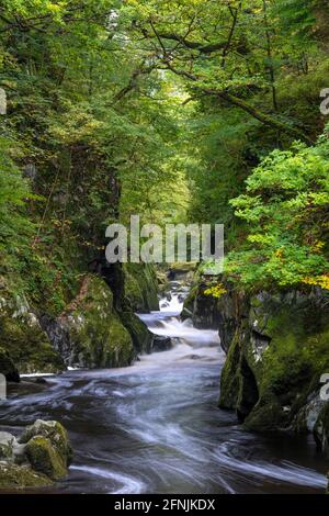 Fairy Glen gorge - River Conwy, près de Betws-y-Coed, parc national de Snowdonia, comté de Conwy, pays de Galles, ROYAUME-UNI Banque D'Images