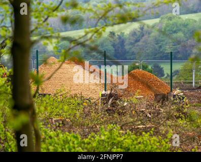 Aylesbury Vale, Buckinghamshire, Royaume-Uni. 14 mai 2021. Une énorme pile d'arbres mis à travers un chipper en bois par HS2. HS2 ont détruit une grande partie de l'ancienne forêt à Jones Hill Wood. Les résidents locaux et les environnementalistes sont furieux que Natural England ait accordé un permis à HS2 pour faire tomber des arbres pendant la saison de nidification des oiseaux. De rares chauves-souris barbastelles ont également roulé dans les bois et leur habitat a été détruit. La très controversée liaison ferroviaire High Speed 2 de Londres à Birmingham est en train de sculpter une cicatrice laid à travers les Chilterns qui est un AONB. Crédit : Maureen McLean/Alay Banque D'Images