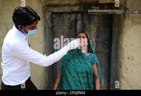 Prayagraj, Uttar Pradesh, Inde. 17 mai 2021. Un travailleur médical prélève un échantillon d'écouvillon pour le test RT-PCR au village de Birapur à Prayagraj, lundi. Credit: Prabhat Kumar Verma/ZUMA Wire/Alamy Live News Banque D'Images