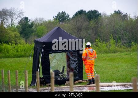 Great Missenden, Buckinghamshire, Royaume-Uni. 14 mai 2021. HS2 construisent une autre route de transport à Great Missenden. HS2 ont détruit un certain nombre de chênes matures ainsi que des haies. La très controversée liaison ferroviaire High Speed 2 de Londres à Birmingham est déjà largement hors de budget et sculpte une vile cicatrice à travers les Chilterns qui est un AONB. Crédit : Maureen McLean/Alay Banque D'Images