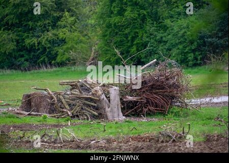 Great Missenden, Buckinghamshire, Royaume-Uni. 14 mai 2021. HS2 construisent une autre route de transport à Great Missenden. HS2 ont détruit un certain nombre de chênes matures ainsi que des haies. La très controversée liaison ferroviaire High Speed 2 de Londres à Birmingham est déjà largement hors de budget et sculpte une vile cicatrice à travers les Chilterns qui est un AONB. Crédit : Maureen McLean/Alay Banque D'Images