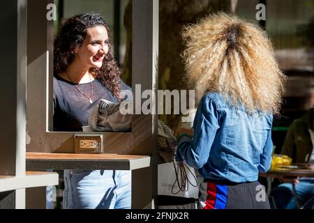 Deux jeunes femmes parlent dans le parc de New York, aux États-Unis Banque D'Images