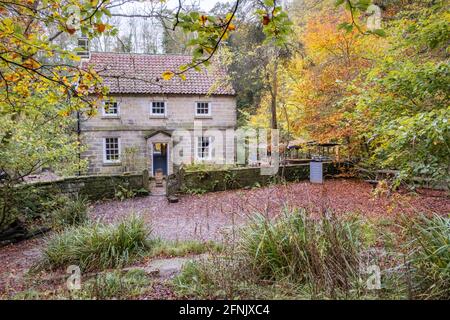 Midge Hall, Falling Foss Garden Tea Shop jardin en automne Banque D'Images