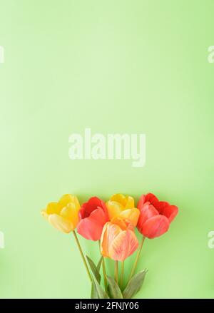 Fleur de tulipe jaune, rouge et colorée sur fond vert, disposée dans un bouquet. Nature encore vie plat concept. Banque D'Images