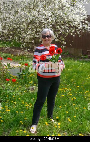 Portrait complet d'une femme âgée souriante debout avec des tulipes dans ses mains sur la pelouse vert vif à son arrière-cour avec cerisier fleuri Banque D'Images