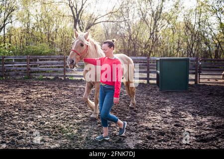Femme en sweat-shirt rouge menant un cheval palomino. Banque D'Images