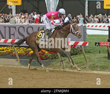 Hippodrome de Pimlico 14 mai 2021 Banque D'Images