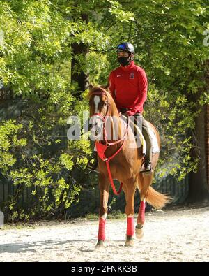 Hippodrome de Pimlico 14 mai 2021 Banque D'Images