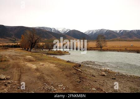 Une petite rivière avec des buissons près des berges, qui coule au début de la steppe d'automne. Chuya, Altaï, Sibérie, Russie. Banque D'Images