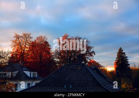 Vue sur les toits des chalets en automne matin. Cheminée et toit de la maison de banlieue en Allemagne Banque D'Images