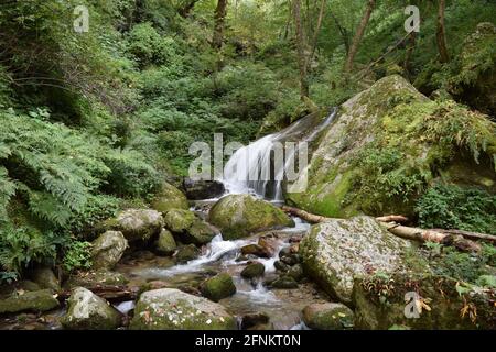 Petite chute d'eau sur le chemin du parc naturel de l'himalyan de grille, qui est situé dans la région de Kullu dans l'État de l'Himachal Pradesh.Patrimoine mondial de l'UNESCO Banque D'Images