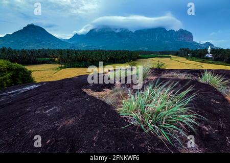 Merveilleux climat de mousson avec des nuages blancs de Misty fond de montagne. TAADAHAI MALAI à Thittuvilai près de NAGERCOIL, DISTRICT DE KANYAKUMARI, Tamil Nadu. Banque D'Images