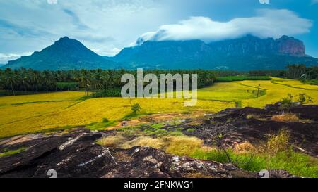 Merveilleux climat de mousson avec des nuages blancs de Misty fond de montagne. TAADAHAI MALAI à Thittuvilai près de NAGERCOIL, DISTRICT DE KANYAKUMARI, Tamil Nadu. Banque D'Images