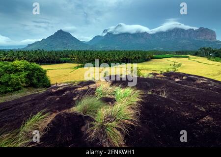 Merveilleux climat de mousson avec des nuages blancs de Misty fond de montagne. TAADAHAI MALAI à Thittuvilai près de NAGERCOIL, DISTRICT DE KANYAKUMARI, Tamil Nadu. Banque D'Images