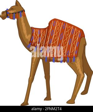Animal de chameau avec couverture à l'arrière, mammifère d'Egypte Illustration de Vecteur