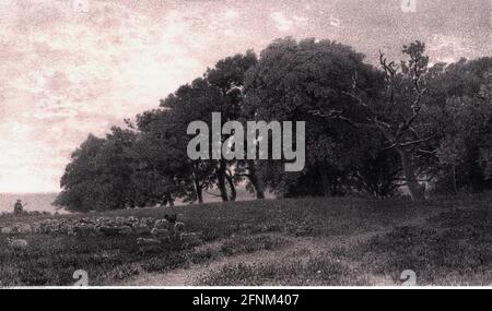 Géographie / voyage historique, Allemagne, Iles, Ile de Ruegen, paysage, 'Edge of the Forest on Ruegen', DROITS-SUPPLÉMENTAIRES-AUTORISATION-INFO-NON-DISPONIBLE Banque D'Images