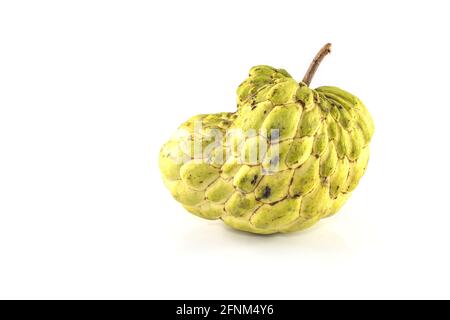 Pomme sucrière (pomme anglaise, Annona, sucrsop, fruit de Cherimoya) sur fond blanc Banque D'Images