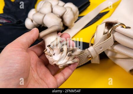 Cuir vegan de mycélium de champignons, concept écologique. Mise au point sélective Banque D'Images