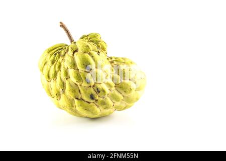 Pomme sucrière (pomme anglaise, Annona, sucrsop, fruit de Cherimoya) sur fond blanc Banque D'Images