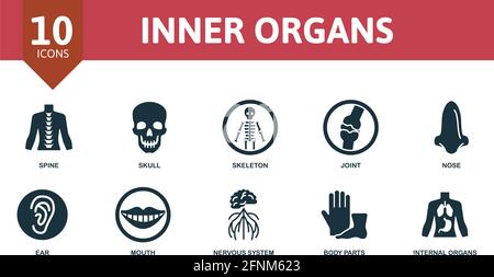 Ensemble d'icônes des organes internes. Contient des icônes modifiables du thème des organes internes tels que la colonne vertébrale, le squelette, le nez, etc. Illustration de Vecteur
