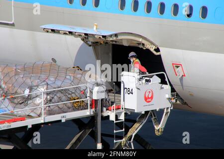 Chargement de fret sur un avion à l'aéroport international de Narita, Japon Banque D'Images