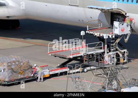 Chargement de fret sur un avion à l'aéroport international de Narita, Japon Banque D'Images