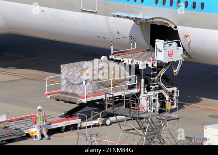Chargement de fret sur un avion à l'aéroport international de Narita, Japon Banque D'Images