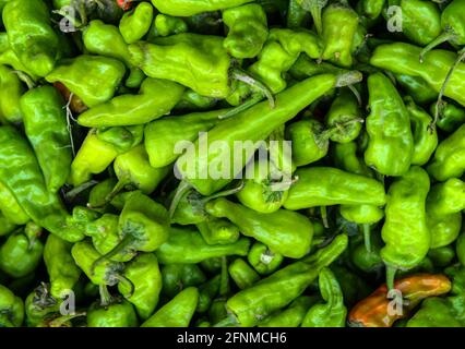 Le piment de Nahuatl chīlli est le fruit des baies de plantes du genre Capsicum Banque D'Images