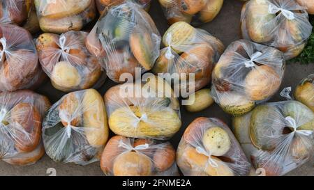 Snap melon, phut, phoot, Cucumis melo susbp agretris var momordica, originaire de l'Inde, jeunes fruits avec le concombre de thicn comme la peau et le goût Banque D'Images