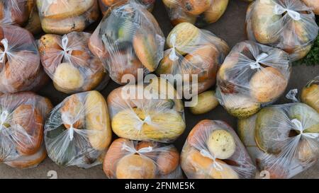 Snap melon, phut, phoot, Cucumis melo susbp agretris var momordica, originaire de l'Inde, jeunes fruits avec le concombre de thicn comme la peau et le goût Banque D'Images